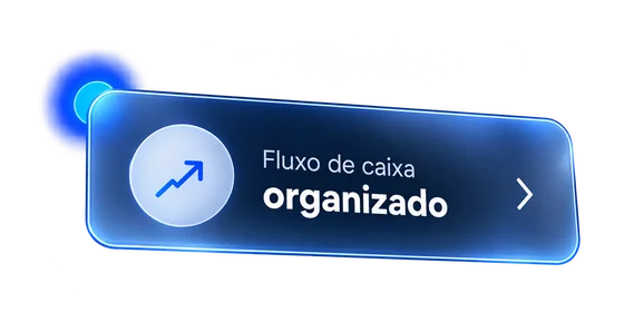Fluxo de caixa organizado
