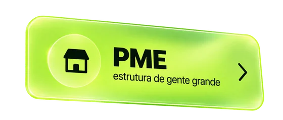 PME com estrutura financeira de empresa grande